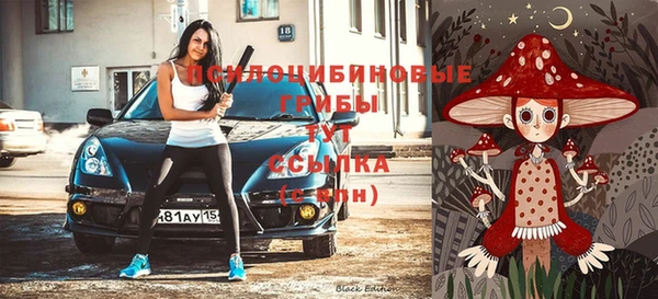 молекула духа Баксан