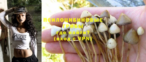 молекула духа Баксан